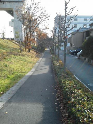 今日のコースからの１枚．猿候川に並行している遊歩道です．春は桜がきれいなのですが，今はちょっと寂しいですね．