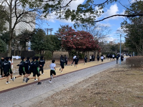 満開の山茶花の下を男子が駆けていきます。女子の声援がにぎやかです。