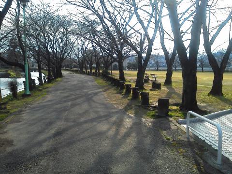 この芝生の広場で，子どもたちが小さいころ，よくみんなで遊びました．アヒルがいたので，我が家での通称ガアガア公園です．