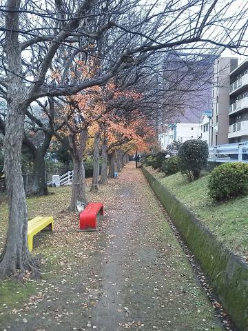 本文とは関係なく，いつものコース紹介です．通称ひろぎん公園，そんなに大きくはないですが，春の桜の時にはなかなか見事です．