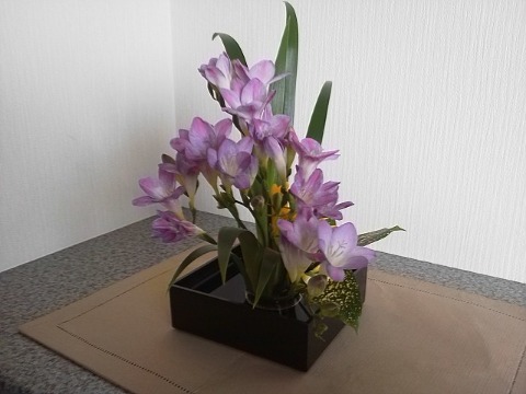 たまには家の中のお花もご紹介しましょう．薄紫色のフリージアです．