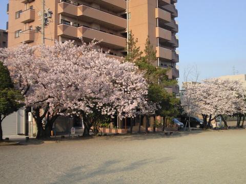 中央公園