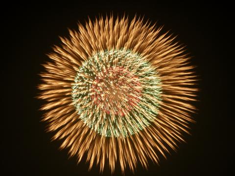 拡大花火は「ひまわり」みたい！？