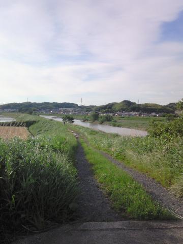 9km過ぎあたりの景色