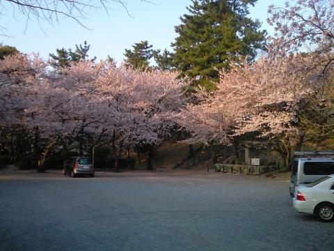 公園入り口