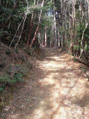 登り