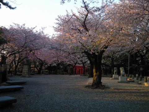 公園内