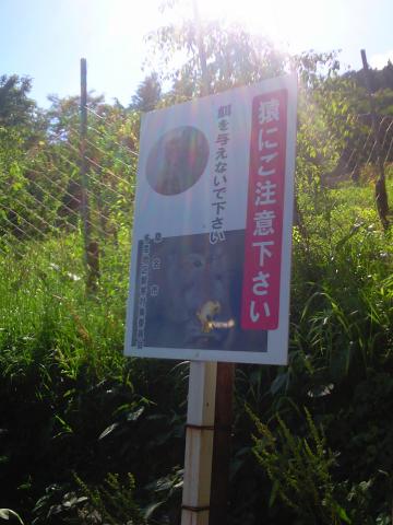 当然こんな立て看板もある！