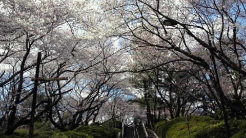 まずは走井山公園