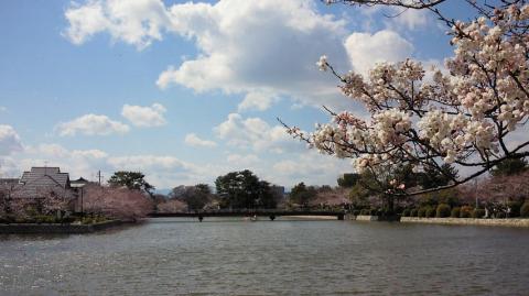 いい風景