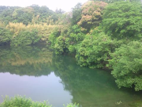 山村ダム②
奥のほう