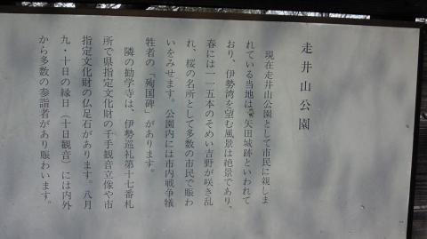 花見JOG　前脛骨筋腱炎