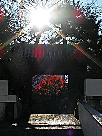 荻生徂徠先生の墓のある長松寺。
