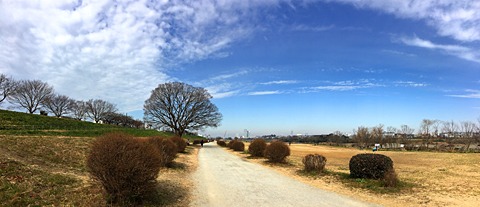 久しぶりに登戸