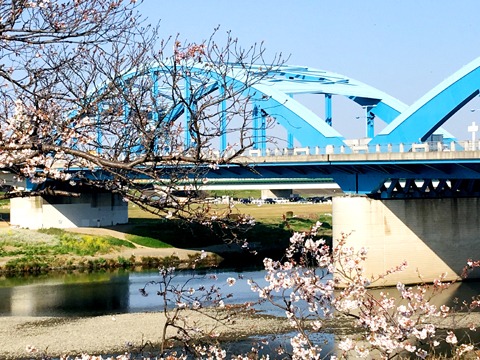 多摩川河川敷から洗足池へ