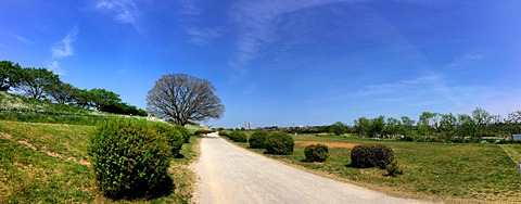 登戸往復29km