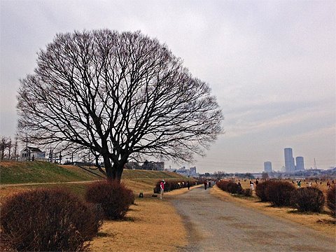 ぽんきちさんと遭遇