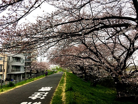 登戸まで