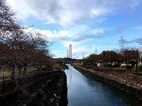 平和記念公園内の運河の両岸の桜並木。まったく咲いていません。