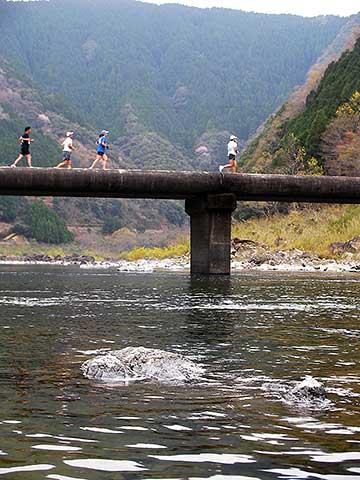 「沈下橋」という、増水すると水面下に隠れてしまう橋を通って四万十川を横切る。四万十川はさすがに透明度が高く、かなりの高所からでも川底が見える。