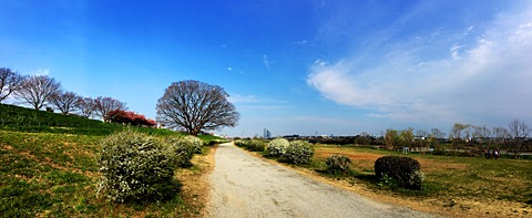 多摩川28km