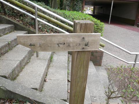 こんなんじゃ迷うよ・・・。