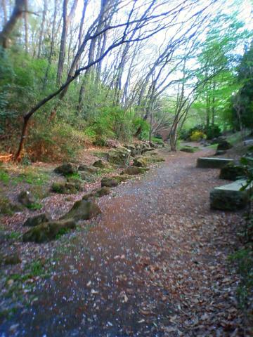 涸れてるけど川もあります。梅雨の時期や大雨の後は少し流れが復活しますが、ほとんど涸れてます・・・