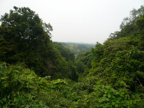 こんなにも田舎の景色が広がっているのに。