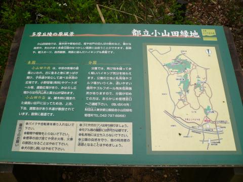 今度は小山田緑地まで行ってみよう！