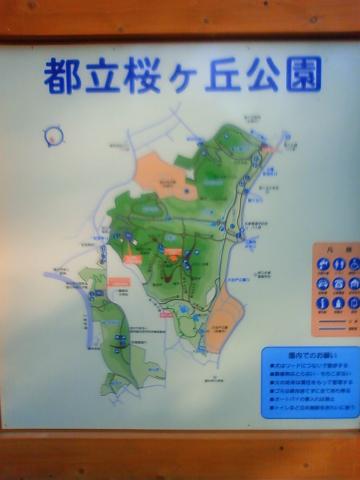近所にはこんな小山のある公園があります。