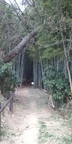 東生田緑地の入り口
個人所有の山だけど通っていいそうです