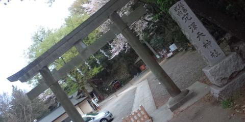 前回とは別方向に下りると神社が