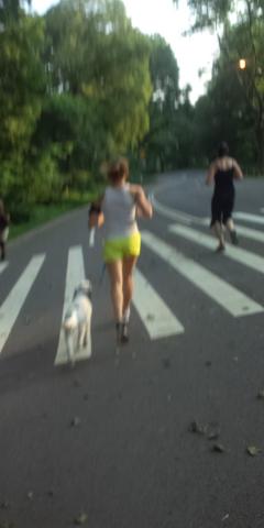 ポニ②
犬もセレブーって感じ