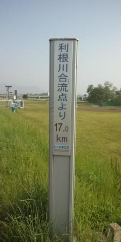 烏川は利根川の支流なのです