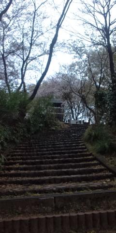上りの最後は階段
