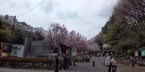 生田緑地入り口
さあ、走るぞ!