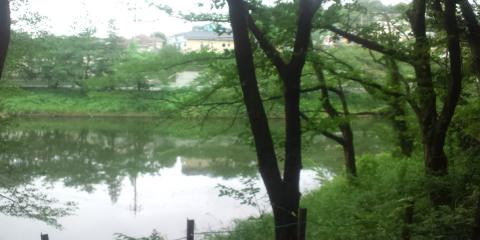 池あり