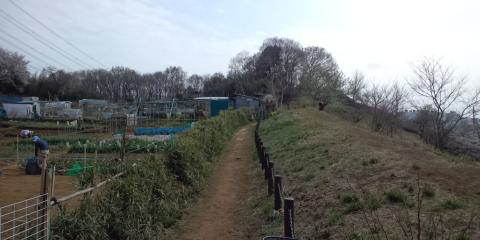 尾根道には、こんな風景も