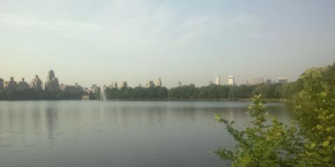Central Parkってこんな広いのね