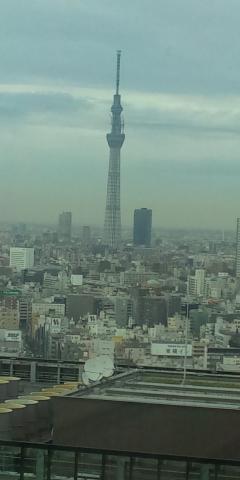 昨日、打ち合わせの合間にパチリ