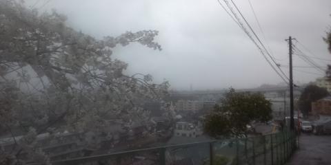 長尾の里北斜面
雨にけむる東名高速