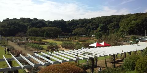 丘の上には立派な欧風庭園