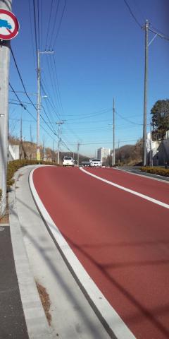 たまプラーザ（東急）から向ヶ丘遊園（小田急）への峠道
10年前まで獣道だった