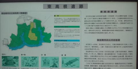 寄り道して｢東高根森林公園」へ
弥生～古墳時代には竪穴式住居の集落があったそうです
