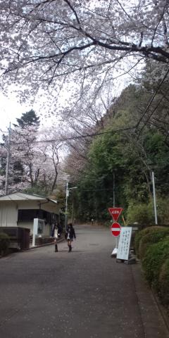 名門、日本女子大付属高校
守衛さんに睨まれた・・・今日はポニ狩りじゃないっす