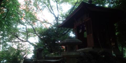 小高い丘の上に祠（ほこら）がありました
左後方にタワーの根元