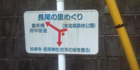 川崎市も河口から離れると丘陵地帯なので、生田の森やらここやら里山が多い