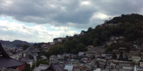 先月駆け上がった千光寺
ロッククライミングした花崗岩群も写っているのですが･･･