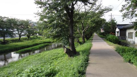 温泉街近くの散歩路。ランニングコースとしても快適です！