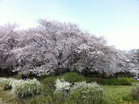 庄内緑地公園方面31km